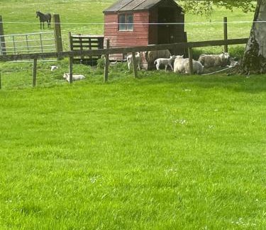 Lanark House | Corehouse Farm Cottages: Cozy Retreats for Families & Pets