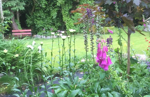 Cairncastle Cottage | Idyllic Corner Cottage: Oceanfront Retreat Near Ballygally