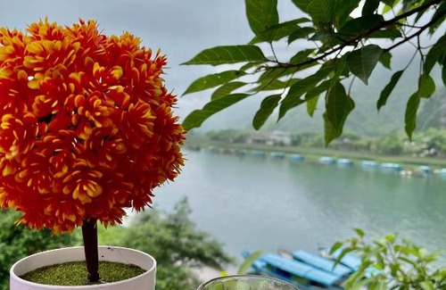 Son Trach House | Exceptional Cornflower Homestay in Phong Nha with Breakfast