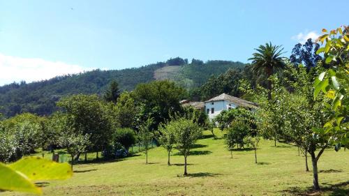 Viveiro House | Discover Corredoira: 4-Star Pet & Child Friendly Retreat