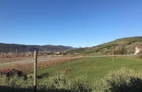 Nord-Est Bed & Breakfast | Prime Stay at Corte Beatrice: Pet-Friendly & Accessible