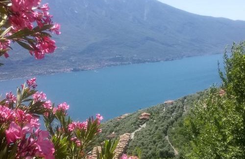 Monzambano House | Discover Comfort at Corte di Tosina - 9/10 Guest Rated