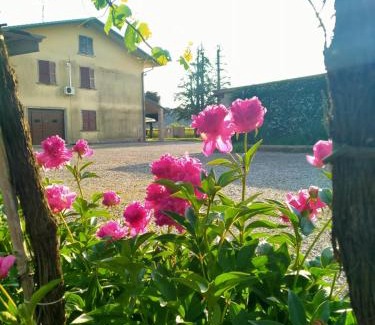 Monteforte d'Alpone House | Beachfront Escape at Corte Ohana - Rated 9.6 by Guests