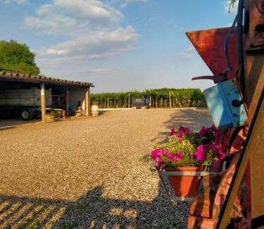 Monteforte d'Alpone House | Beachfront Escape at Corte Ohana - Rated 9.6 by Guests