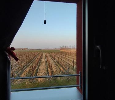 Piove di Sacco House | Pet-Friendly CorteZecchina: Rated 9/10 by Guests!