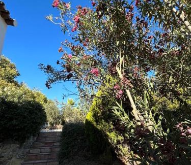 Algodonales Ski Chalet | Pet-Friendly Retreat at Cortijo Burruelo - Rated 9.7/10