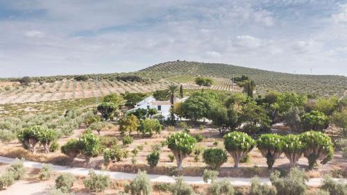 Cabra House | Relax at Cortijo Don Simón: 4-Star Oasis with Ocean Views