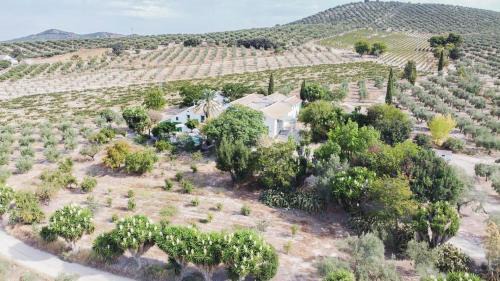 Cabra House | Relax at Cortijo Don Simón: 4-Star Oasis with Ocean Views