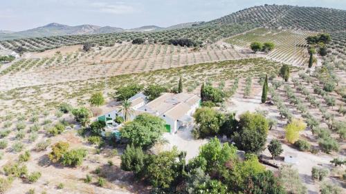 Cabra House | Relax at Cortijo Don Simón: 4-Star Oasis with Ocean Views