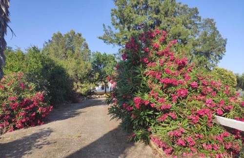 Espera Apartment | Experience Cortijo el Morisco: Pet-Friendly Oceanfront Retreat