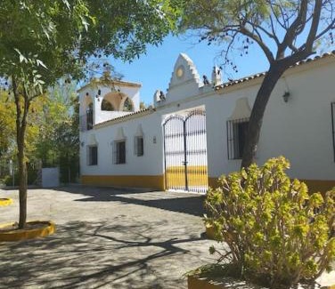 Espera Apartment | Experience Cortijo el Morisco: Pet-Friendly Oceanfront Retreat