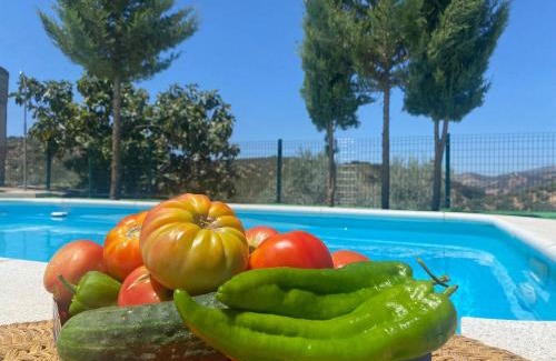 Algarinejo House | Experience Cortijo El Nevazo: Guest Rated 9.7 with Ocean View