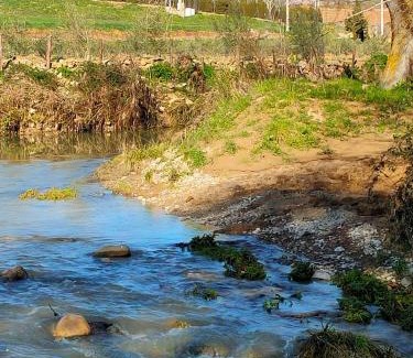 Villanueva del Rosario House | Discover Cortijo Los Arcos: Oceanfront Oasis for Families