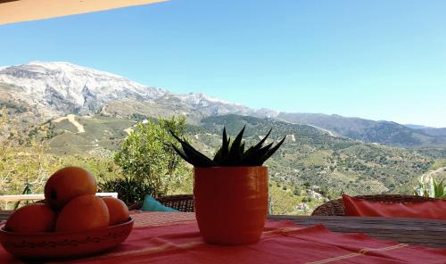Sedella House | Relax at Cortijo Los Caballos with Oceanfront Pool Access