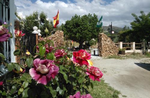 El Sauco House | Pet-Friendly Cortijo Los Soledad with Oceanfront Views