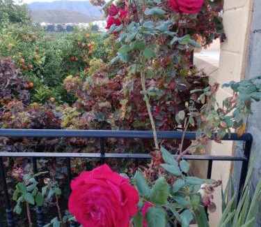 Huercal de Almeria House | Beautiful Cortijo Paulenca: Pool, Ocean View & Family-Friendly
