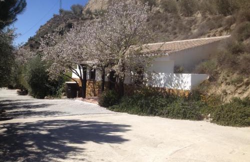 Barrio de la Vega Apartment | Discover Family-Friendly Comfort at Cortijo Pilongo