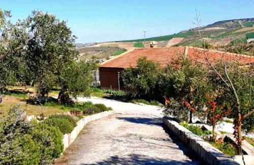Alhama de Granada House | Experience Cortijo Puente Alhama: Pet Friendly & Ocean Views