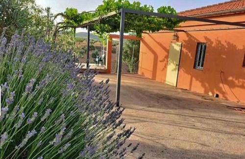 Alhama de Granada House | Experience Cortijo Puente Alhama: Pet Friendly & Ocean Views