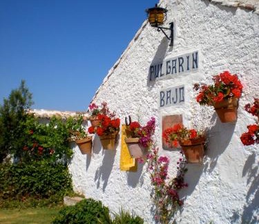 Alfarnatejo Villa | Unforgettable Stay at Cortijo Pulgarín Bajo: Pet Friendly & Pool