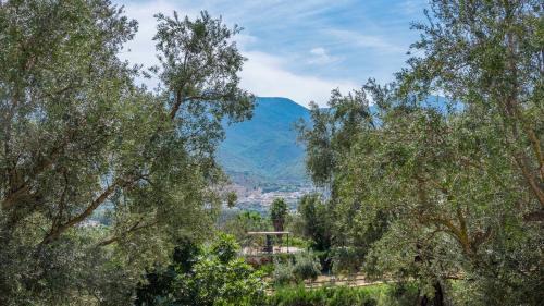 Orgiva House | Discover Cortijo Villa Maroma Órgiva: Family-Friendly Retreat