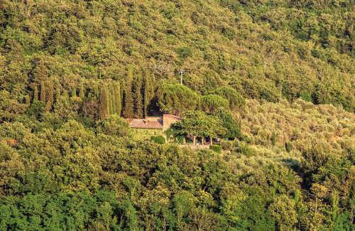 Radda in Chianti House | Experience Cosoli: 4-Star Oceanfront Paradise for Families