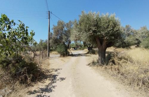 Pallini House | Family-Friendly Costas Farmhouse Near Athens Airport
