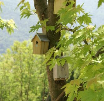 Cavedine Bed & Breakfast | Experience Comfort at Coste del Gaggio - B&B in Garda Trentino
