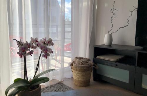 Old Town Apartment | Inviting 1 Bedroom Apartment in Old Town with Parking
