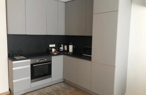 Old Town Apartment | Inviting 1 Bedroom Apartment in Old Town with Parking