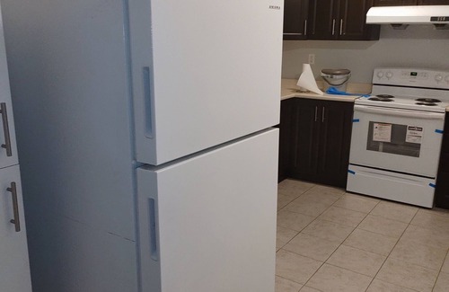 Halton Regional Municipality Apartment | Charming 1 Bedroom Basement Apartment with Kitchen Access
