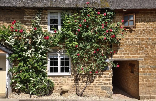 Hook Norton Apartment | Cosy 1-Bedroom Cottage Retreat in Oxfordshire