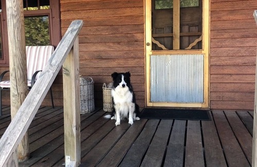 Wooragee Cottage | Inviting Getaway with Pool, Spa & Room for Family Fun