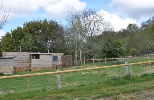 Shaftesbury House | Charming Goldhill Glamping Lodge with Pet-Friendly Amenities
