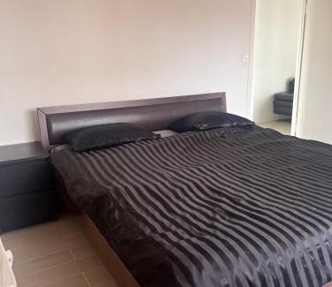 Nyon Apartment | Ideal 1 Bedroom Apartment for Your Business Getaway