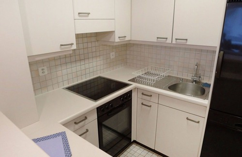 Lucerne Apartment | Cozy Apartment for 3 with Lake View, Balcony & Parking