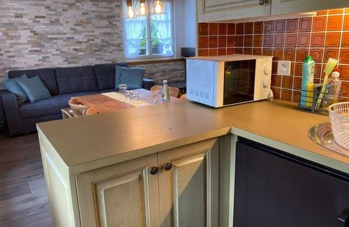 Ruedisbach Apartment | Cozy Apartment for 4 with Balcony, Pet Friendly & Parking