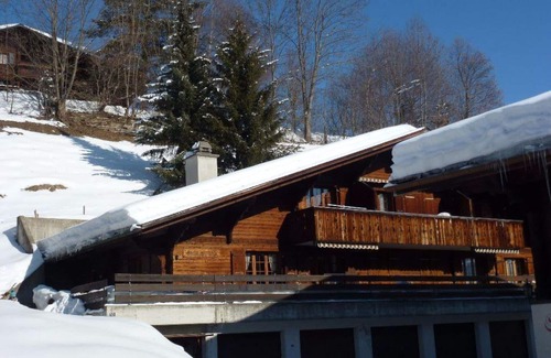 Saanen Apartment | Cosy apartment for 6 people with WIFI, TV, balcony and pets allowed