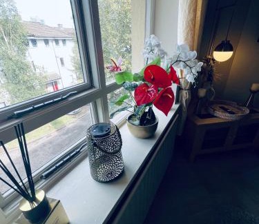 Cork Apartment | Cosy apartment in heart of Cork City