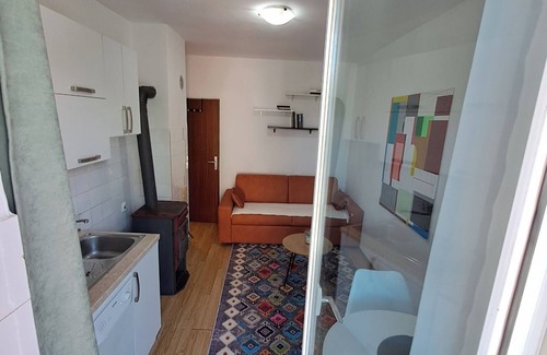 Kolasin Apartment | Charming City Center Apartment: Pet and Child Friendly