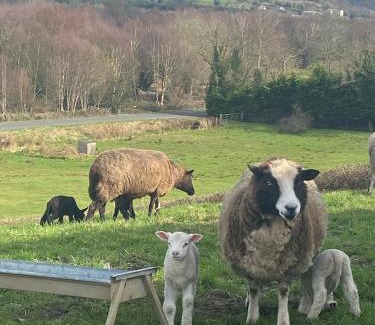Broadford House | Inviting Cosy Cottage in Broadford - Rated 9.8/10