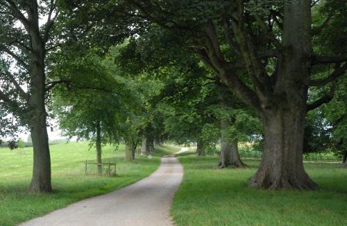 Flintshire House | Cosy Cottage Wrexham sleeps 4