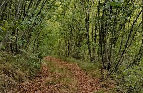 Rignano sull'Arno House | Inviting House Surrounded by Nature with Family-Friendly Amenities