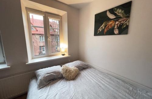 Klaipeda Apartment | Charming Mini Studio with Oceanfront View in Old Town