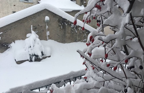 Mont-Louis House | Inviting Mountain House in Cerdagne - Pet and Child Friendly