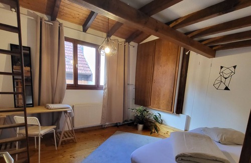Schiltigheim Apartment | Cosy Old Farmer, 12 min de Strasbourg Centre