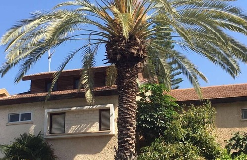 Herzliya House | Comfortable Room with Kitchen Near IDC in Herzelyia Center