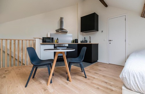 Quartier Saint-Gery - Sint-Gorikswijk Apartment | Charming Studio Retreat in Central Brussels - Pet Friendly