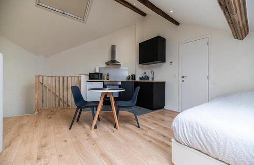 Quartier Saint-Gery - Sint-Gorikswijk Apartment | Charming Studio Retreat in Central Brussels - Pet Friendly
