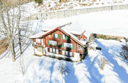 Wengen Apartment | Inviting Traditional Swiss Chalet with Family-Friendly Amenities